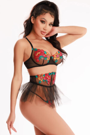 Embroidered Bra and Thong Set with Matching Waist Cincher - One Size Fits Most!