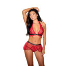 Mesh Santa Bra Panty Set