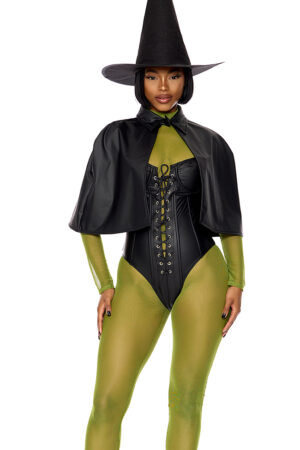 Wicked West Costume