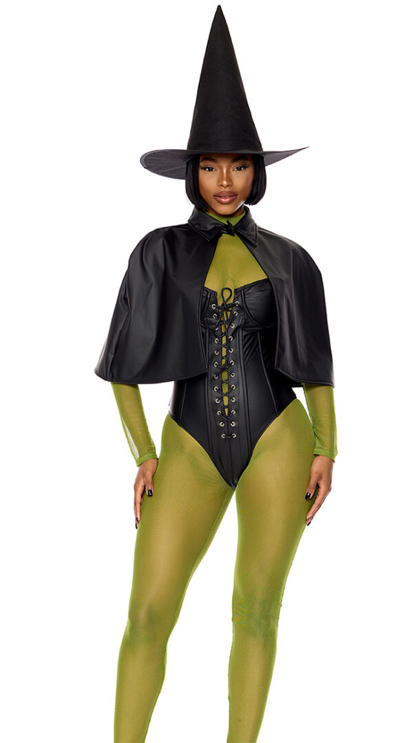 Wicked West Costume